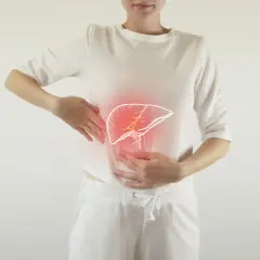 Kobieta wskazuje rękami na okolice brzucha, gdzie widoczna jest narysowana, podświetlona na czerwono wątroba.