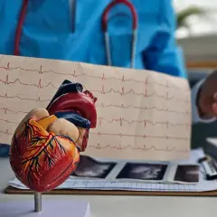 Model serca i EKG na stole lekarskim. W tle lekarz w niebieskim fartuchu, stetoskop i dokumentacja medyczna. To obrazuje pracę z biosotal.