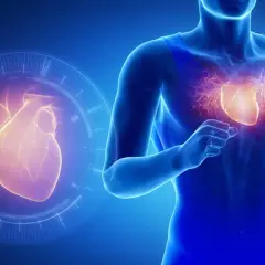 Anatomia serca w technologii, z widocznym organem w klatce piersiowej i na ekranie, sugeruje monitorowanie stanu zdrowia, jak w przypadku Suvardio Plus.