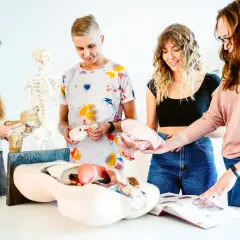 Fizjoterapia co na maturze: niezbędne przedmioty do studiów