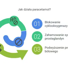Schemat wyjaśnia, jak działa paracetamol: blokuje cyklooksygenazę, hamuje syntezę prostaglandyn i podwyższa próg bólowy.