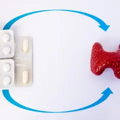 Pigułki Euthyrox 25 i model tarczycy połączone niebieskimi strzałkami, symbolizujące leczenie.