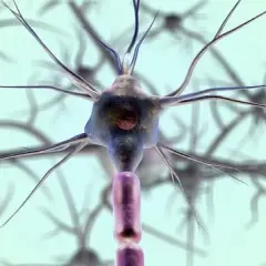 Neurolog czym się zajmuje - poznaj rolę i choroby, które leczy