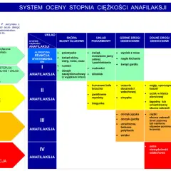 Schemat oceny ciężkości anafilaksji, wskazujący kiedy podać adrenalinę.
