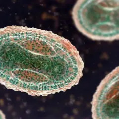 Wizualizacja wirusa ospy prawdziwej, ukazująca jego złożoną strukturę.