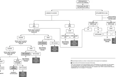 Schemat diagnostyki niewydolności serca (CHF). Poziom NT-proBNP < 125 wskazuje na brak konieczności dalszych badań.