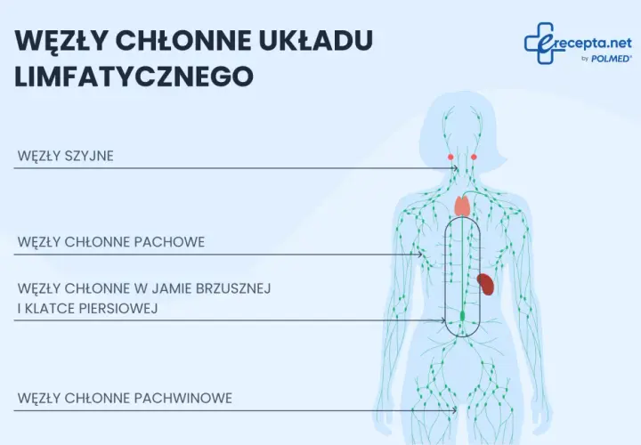 Schemat pokazuje, gdzie są węzły chłonne: szyjne, pachowe, w jamie brzusznej i klatce piersiowej, pachwinowe.