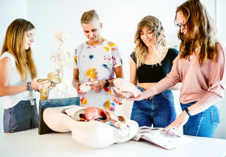 Fizjoterapia co na maturze: niezbędne przedmioty do studiów