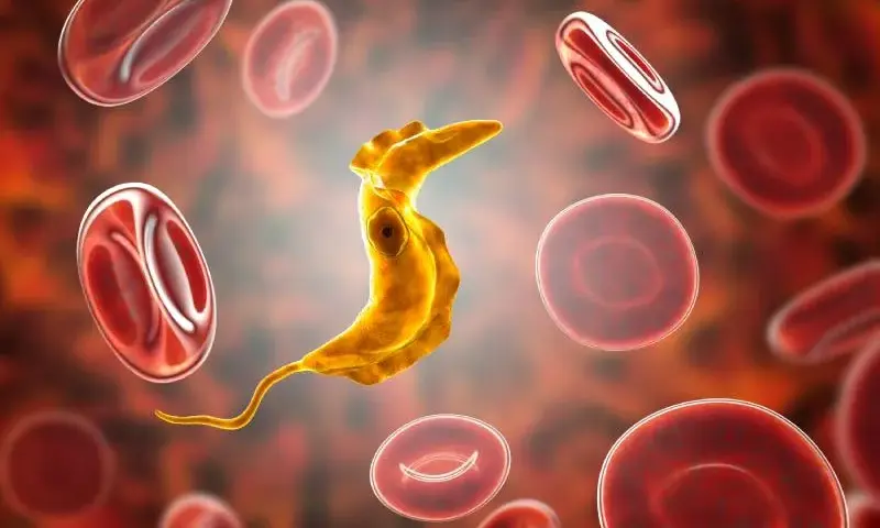 Co wywołuje śpiączkę afrykańską i jak uniknąć zakażenia?