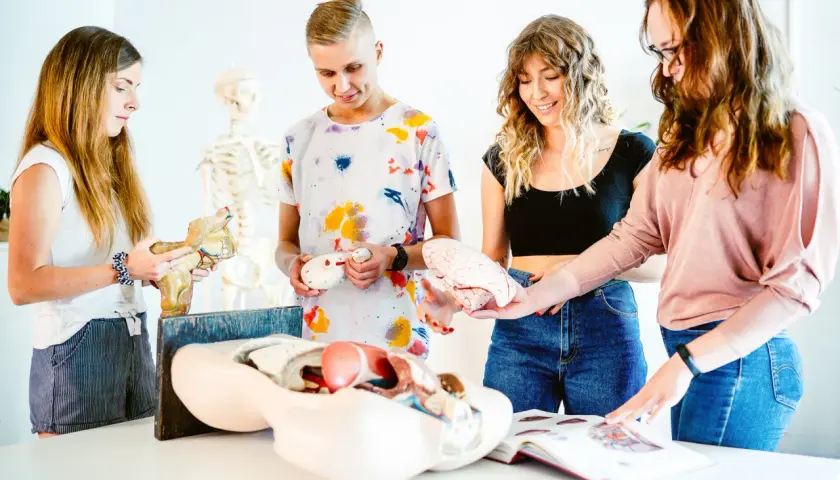 Fizjoterapia co na maturze: niezbędne przedmioty do studiów