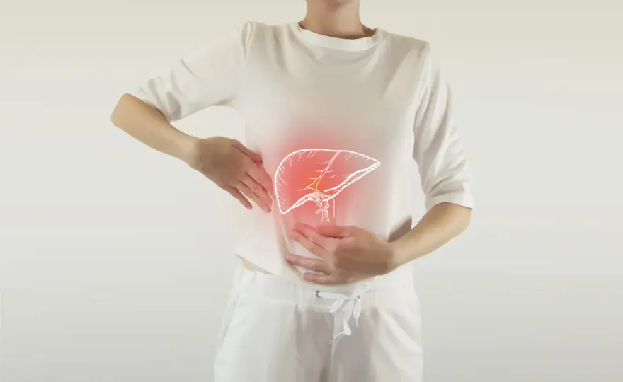 Gdzie leży wątroba? Położenie, ból pod żebrem i co dalej
