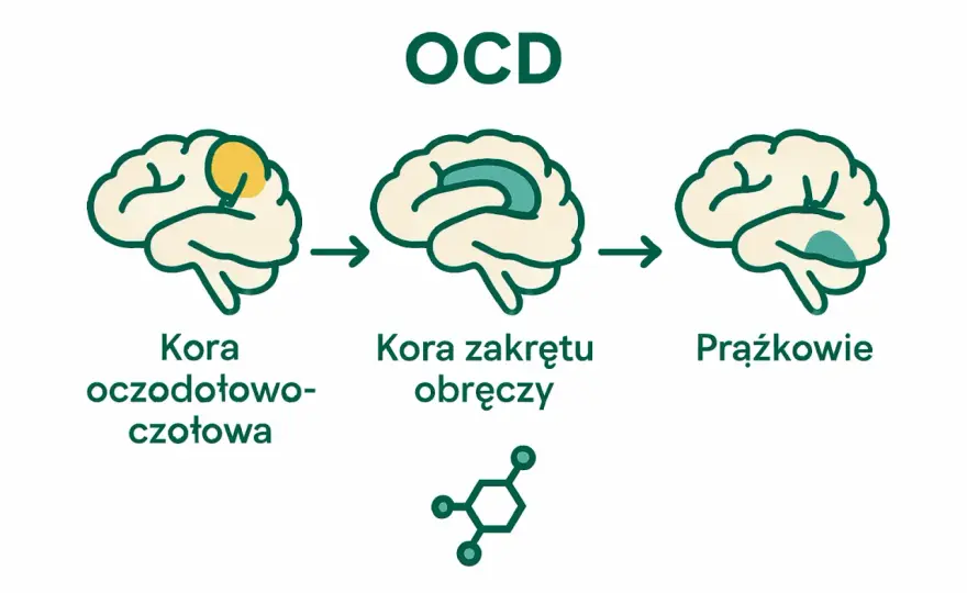 Objawy OCD - Jak rozpoznać natrętne myśli i przerwać cykl lęku?