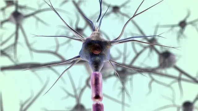 Neurolog czym się zajmuje - poznaj rolę i choroby, które leczy
