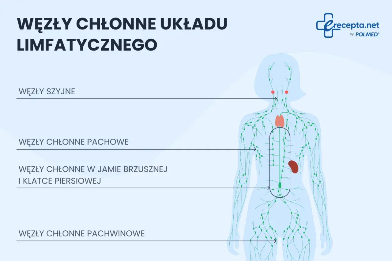Schemat pokazuje, gdzie są węzły chłonne: szyjne, pachowe, w jamie brzusznej i klatce piersiowej, pachwinowe.