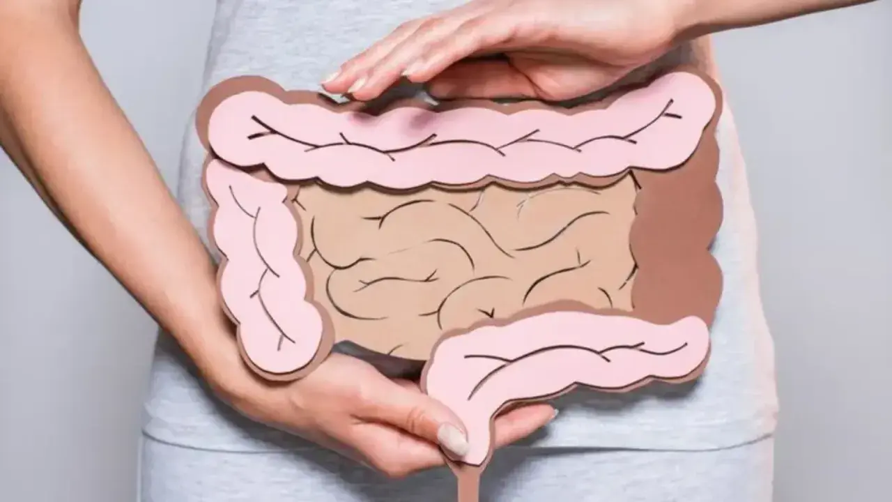Dłonie obejmują model jelita grubego, symbolizujący zdrowie układu trawiennego.