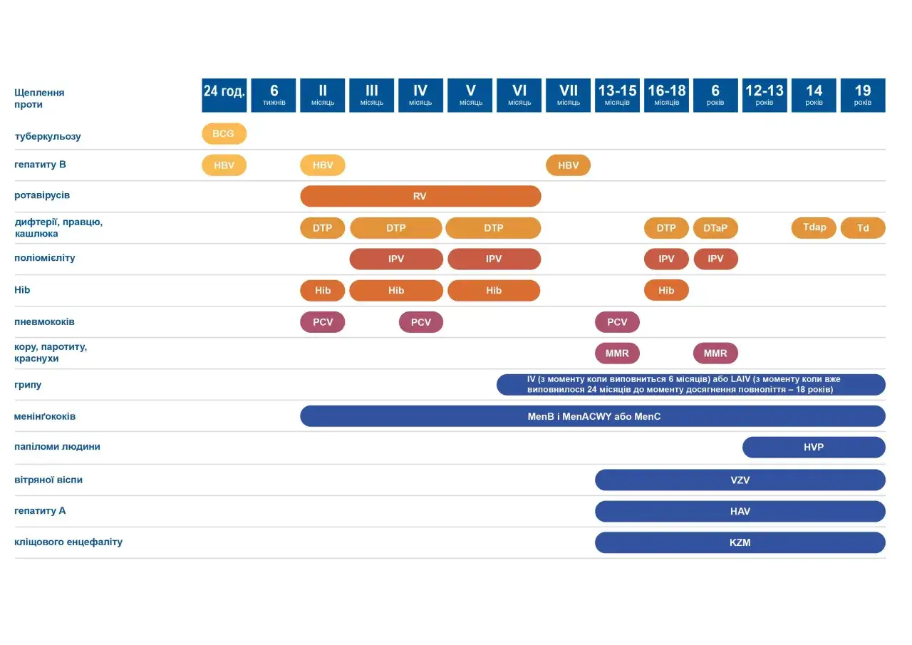 Kalendarz szczepień: DTP, IPV, Hib, PCV, MMR, HBV, RV, HVP, VZV, HAV, KZM, Tdap, Td.